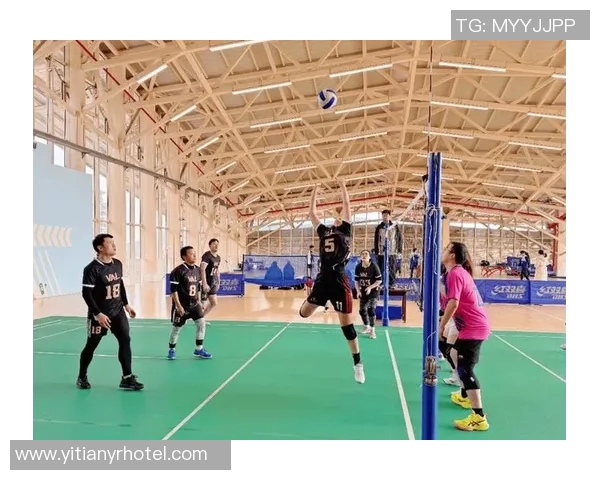 杭州排球队团队协作能力提升显著创新高引发广泛关注与赞誉