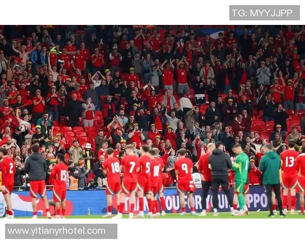 布莱顿对阵曼联精彩直播全程回顾与赛后分析