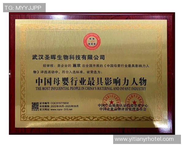 拉波尔特的崛起与影响力探讨：从个人成就到全球视野的多维分析