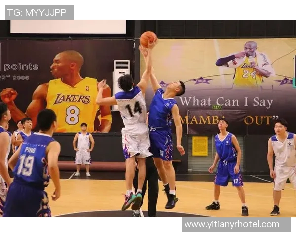 越南与马来西亚激战在即11月16日精彩对决引人期待