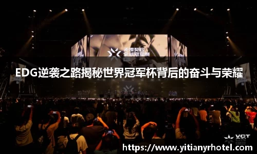 EDG逆袭之路揭秘世界冠军杯背后的奋斗与荣耀