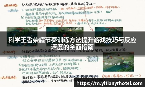 科学王者荣耀节奏训练方法提升游戏技巧与反应速度的全面指南