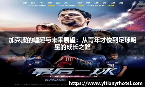 ks8凯发官方网站